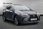 2023 Lexus NX