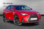 2023 Lexus NX