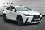 2023 Lexus NX