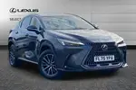 2025 Lexus NX