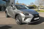 2019 Lexus NX