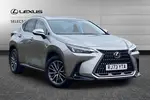 2023 Lexus NX