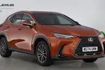 2024 Lexus NX