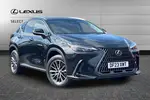 2023 Lexus NX