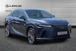 2025 Lexus RX