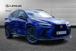 2022 Lexus NX