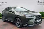 2025 Lexus NX
