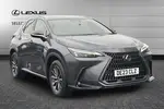 2023 Lexus NX