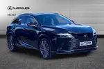 2024 Lexus RX