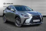 2024 Lexus NX