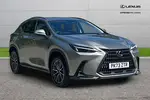 2023 Lexus NX