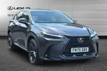 2025 Lexus NX