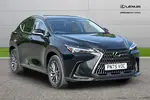 2025 Lexus NX