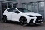 2024 Lexus NX