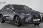 2024 Lexus NX