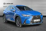 2025 Lexus NX