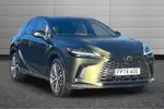 2024 Lexus RX