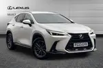 2023 Lexus NX
