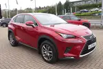 2020 Lexus NX