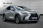 2025 Lexus NX