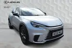 2026 Lexus Lbx