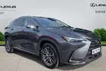 2024 Lexus NX