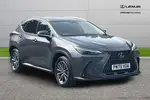 2025 Lexus NX