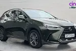 2023 Lexus NX