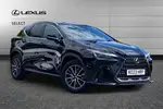 2023 Lexus NX