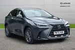 2025 Lexus NX