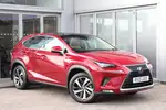 2021 Lexus NX