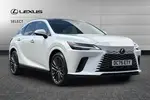 2025 Lexus RX