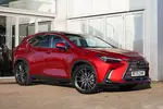 2025 Lexus NX