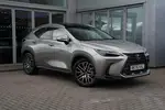 2025 Lexus NX