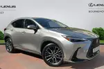 2024 Lexus NX