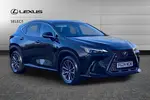 2024 Lexus NX