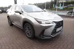 2022 Lexus NX