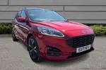 2021 Ford Kuga