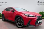 2024 Lexus NX