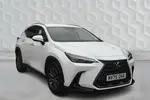 2025 Lexus NX