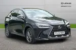 2024 Lexus NX