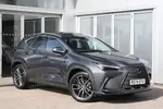 2024 Lexus NX
