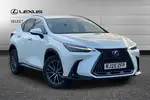 2025 Lexus NX
