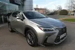 2022 Lexus NX