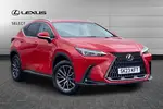 2023 Lexus NX