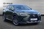 2025 Lexus NX