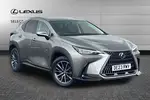 2023 Lexus NX