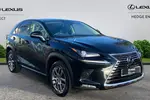 2020 Lexus NX