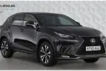 2019 Lexus NX