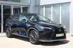 2025 Lexus NX